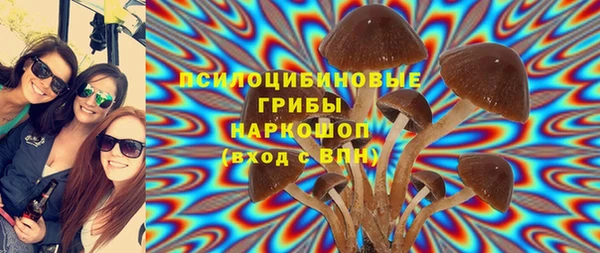 бошки Абдулино