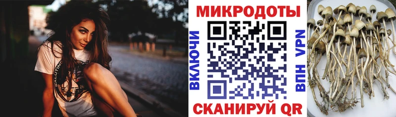 где продают наркотики Абдулино Псилоцибиновые грибы GOLDEN TEACHER